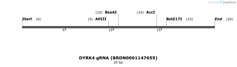 142980_map