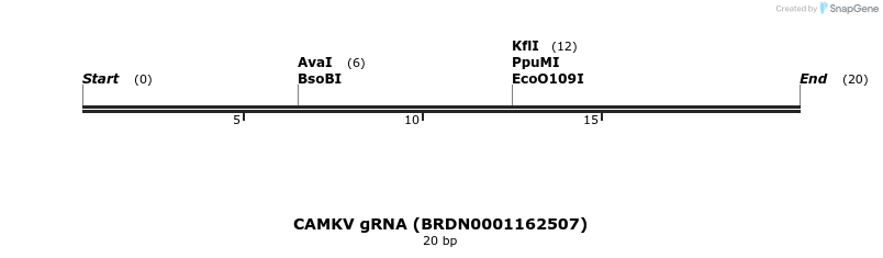 142988_map