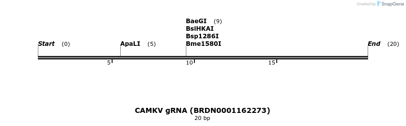 142989_map
