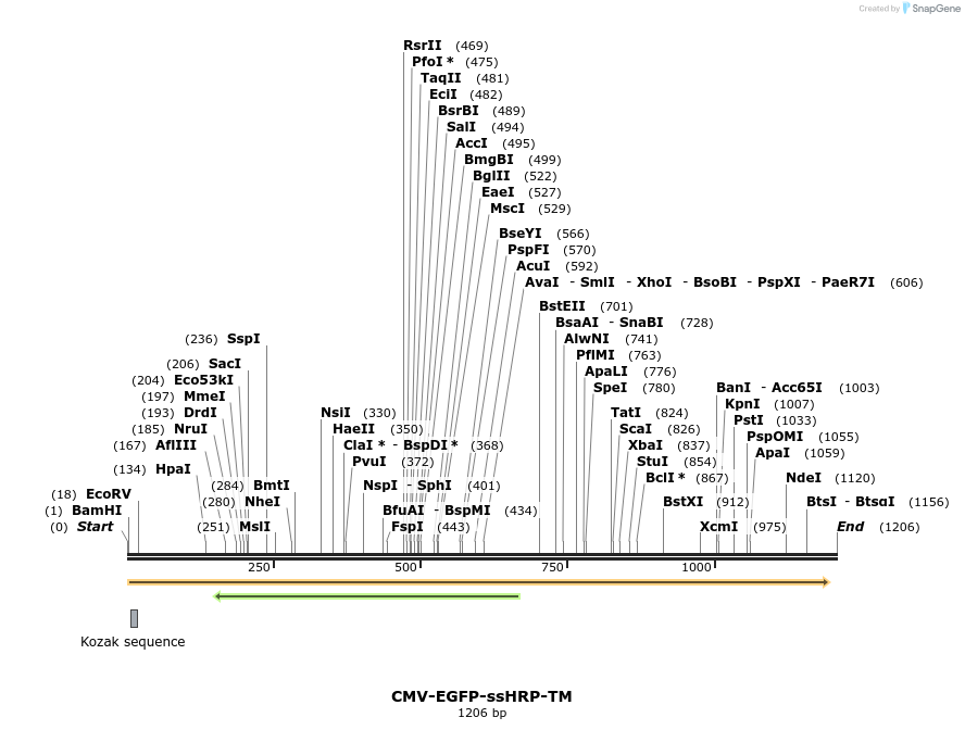 14299_map
