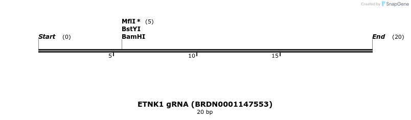 142990_map