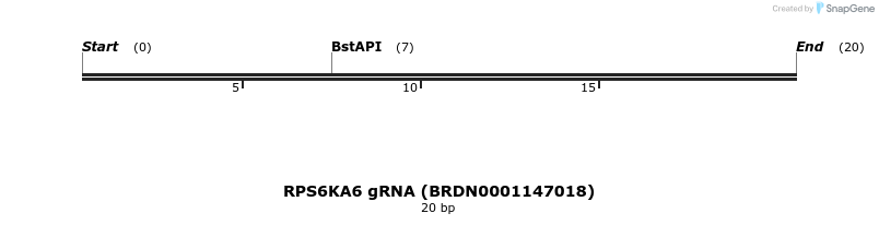 142995_map