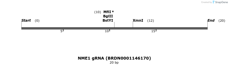 142998_map