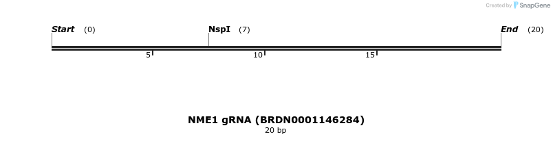 142999_map