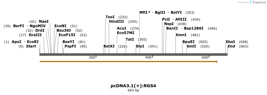 14300_map