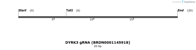143007_map