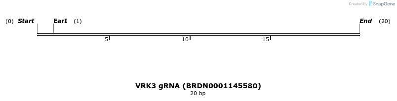 143010_map