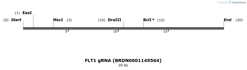 143017_map
