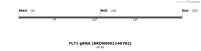 143018_map