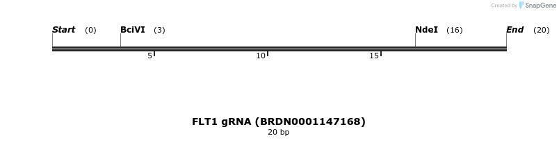 143019_map