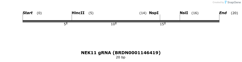 143022_map