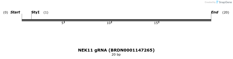 143023_map
