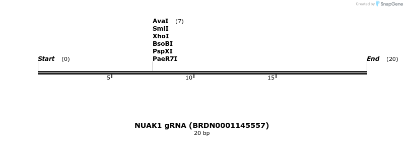 143035_map