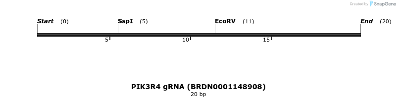 143055_map