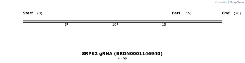 143061_map