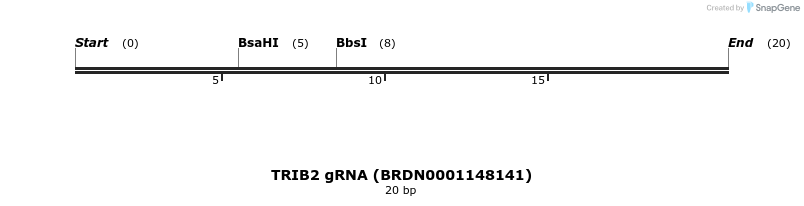143063_map