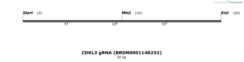 143066_map
