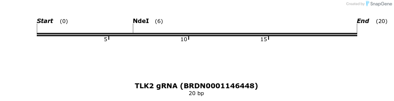 143075_map