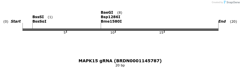 143078_map
