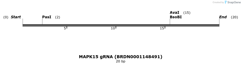143079_map