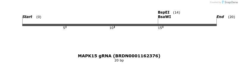 143080_map