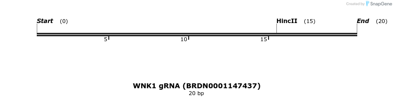 143083_map