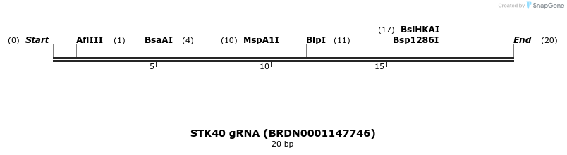 143086_map