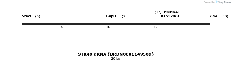 143088_map