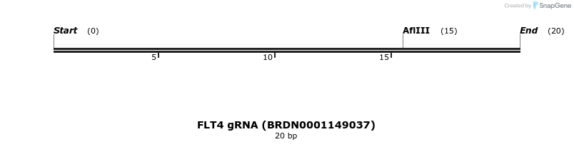 143092_map