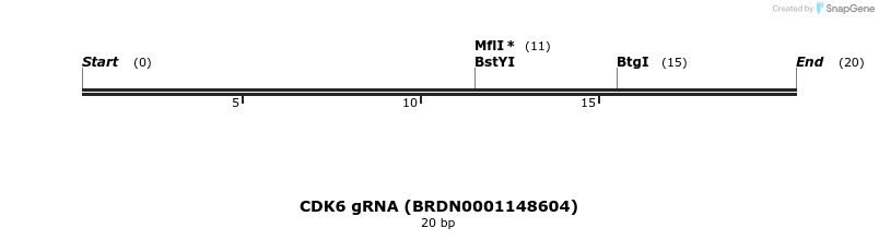 143106_map