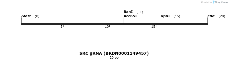 143112_map