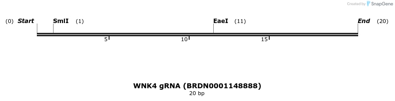 143119_map