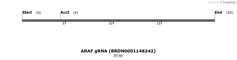 143121_map