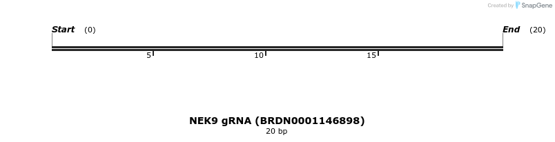 143123_map