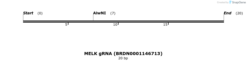 143129_map