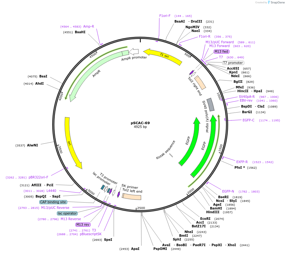 14313_map