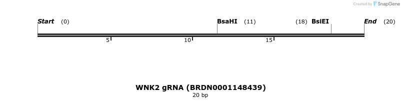 143130_map