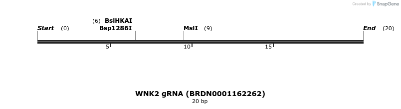 143133_map