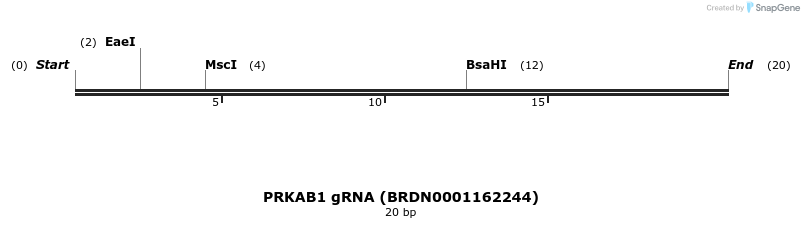 143137_map