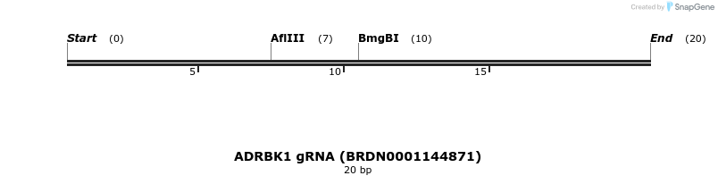 143141_map