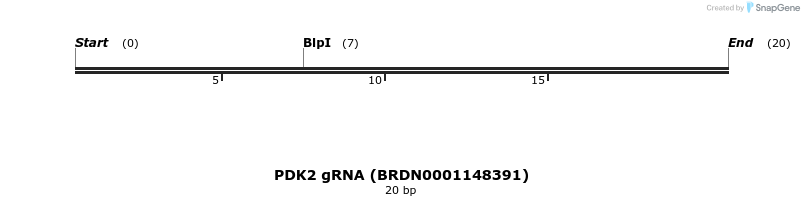 143147_map