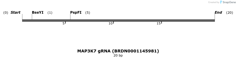 143152_map