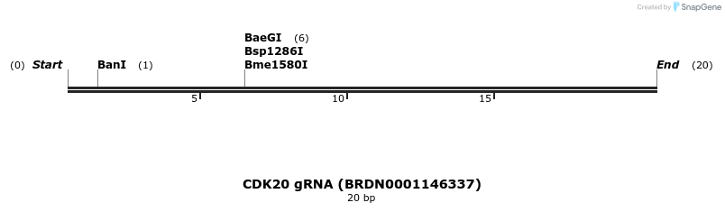 143167_map