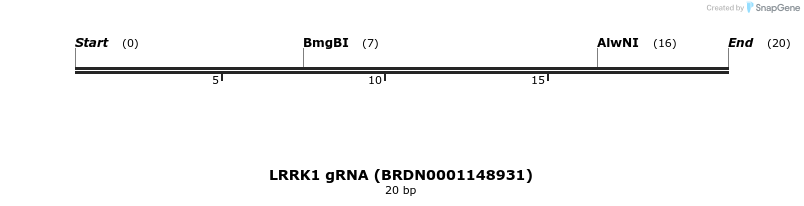 143177_map
