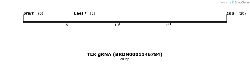 143182_map