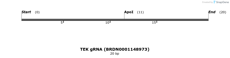143184_map