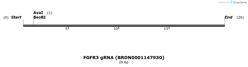 143190_map