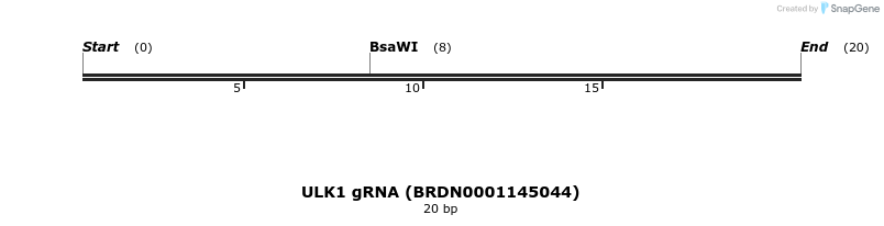 143196_map
