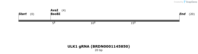 143197_map