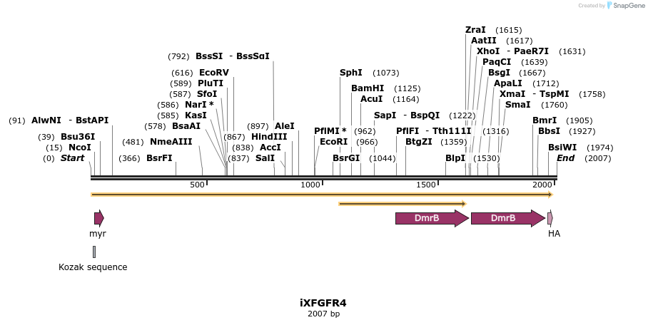 14320_map
